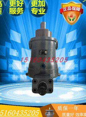 Y/Y油泵塞柱/6/03轴0C80161江苏恒源250向25B14-10/16/40/32/10//