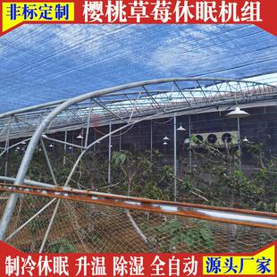大棚草莓樱桃温湿度强制制冷休眠反季节上市品控空调机组5匹6匹