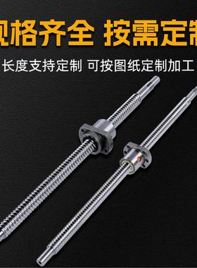 源头厂家精C7组滚珠丝杆NDX数密控机床高精度法兰防锈杠静音传丝