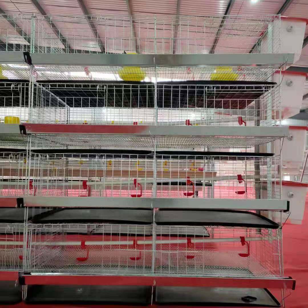 雏鸡笼育雏笼小笼WOH加粗加密养殖殖笼三鸡层四层立式大养厂型家