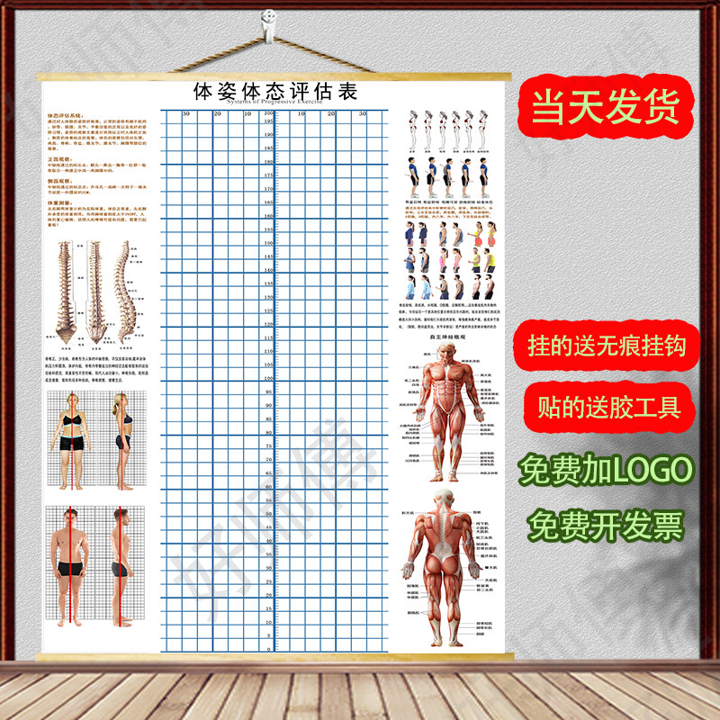 体态评估图健身房体测评估表瑜伽私教站姿形体脊椎修复身体评估图