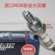 16进口CC摩托V V2250LF力帆 适用 NGK铱金火花塞 50250250双缸