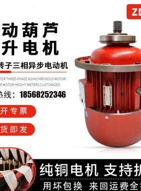 /0电动葫芦D电机.特种总厂43.0主起升k5w38提升锥形Zv南京电机7.5