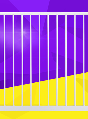 儿童防护栏宝宝楼梯口安全门栏宠物围栏狗栅栏门专用80cm延长件