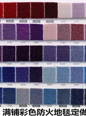 会议室展厅整铺摄影网红蓝色满铺地毯尼龙涤纶定制阻燃印花块毯