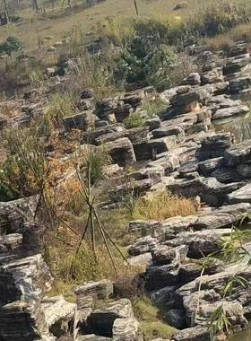 产地千层石大观工程型假山层石景园林庭院景观石别022201墅千假山