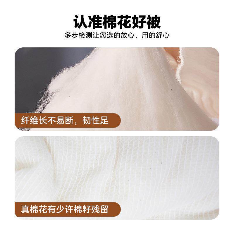 童贝家新棉花散装棉原棉被棉被被芯床垫褥子胎学生MBB棉花填充疆