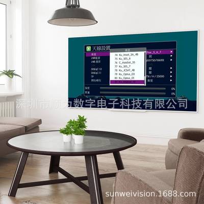 货臺灣D體中文VB-S2高清數位機上盒繁东南亚中文D现VBS2电视76253