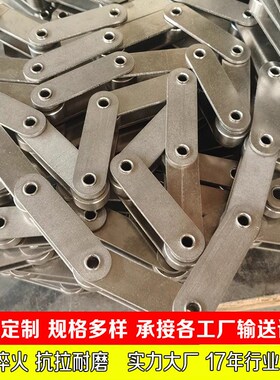 新款非标弯板链条双节距直板传动链单双孔单侧工业侧双大节距带耳