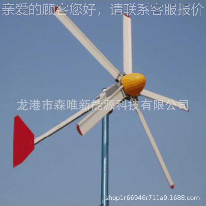 风力发电机组3SW-3KW-1千瓦 平家用水0轴风力发电机30W小功0率风