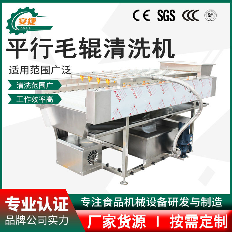 全自动平行毛滚清洗机橘子柠檬橙子洗果机海蛎子生蚝清洗去泥设备