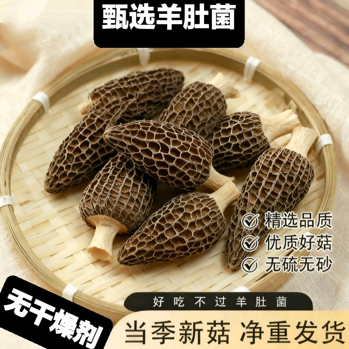 羊肚菌 云南特产非野生非新鲜煲汤靓料6～9cm头茬特级羊肚菌干货