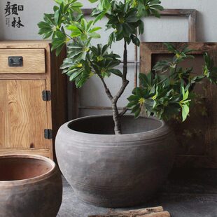 瓦陶盆荷花鱼睡莲盆盆复古泥泥花盆盆土陶缸大盆盆缸土粗陶盆缸水