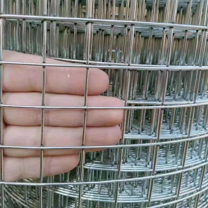 热镀锌钢丝网加粗超硬铁丝网鸡鸭鹅养殖网封窗网防猫防护铁网格网