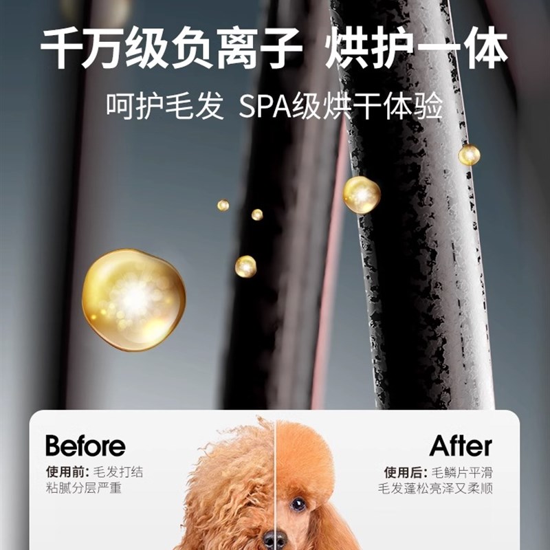 鸟语花香宠物烘干箱全H4自动猫咪狗狗洗澡烘干机家用吹风机吹水机