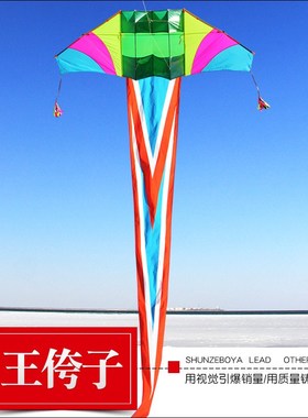 2025王侉子3米4米滑翔机新品潍坊544软伞布碳杆微风大型成人风筝