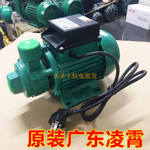 广东凌霄1DB35 1DB45 1DB65 -B清水泵330W 家用抽水机550W 750W