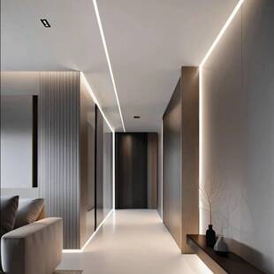 TRIAC可控硅led灯带超亮户外防水透镜灯条220v室内客厅吊顶三色变