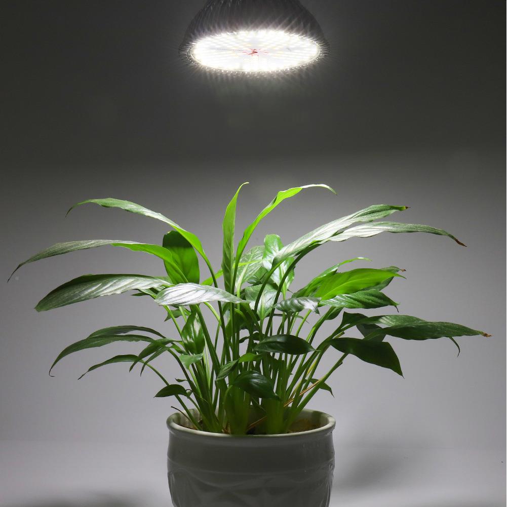 PA38铝壳1KJY50珠L植E植物灯白红光家D用加阳台大棚种灯生长灯促