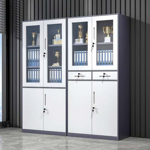 厂家直销套色铁皮01102窄柜财务文会计收纳柜玻璃带锁储物柜资边