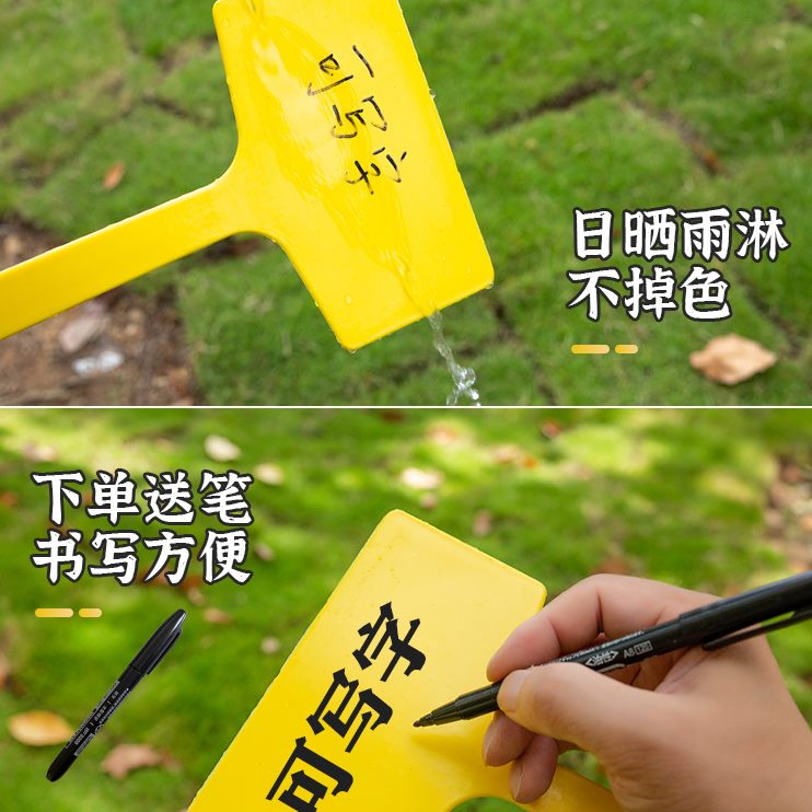 大号立体加厚地标识牌插牌牌多肉塑料植物标签园艺宏荣插标牌示指