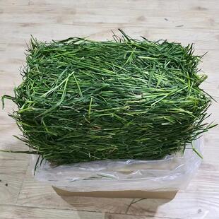 25年新提草全叶南提草烘干 干提摩西草兔子龙猫豚鼠干 干草兔粮毛