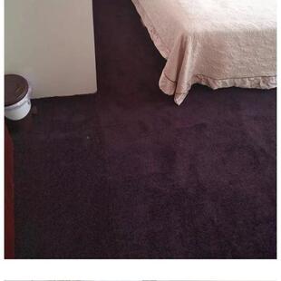 商用防廊火地办燃公楼台球厅酒阻燃地毯店房间走电影院B1级满铺毯