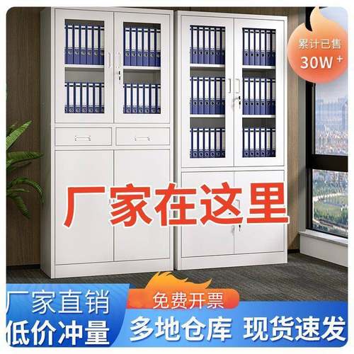 钢制办文公室件柜带锁财务凭证资料皮柜员柜工更衣XHA铁储物家用