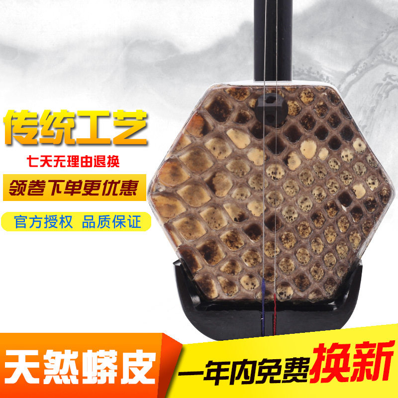初学二胡初学二胡色木白木二胡