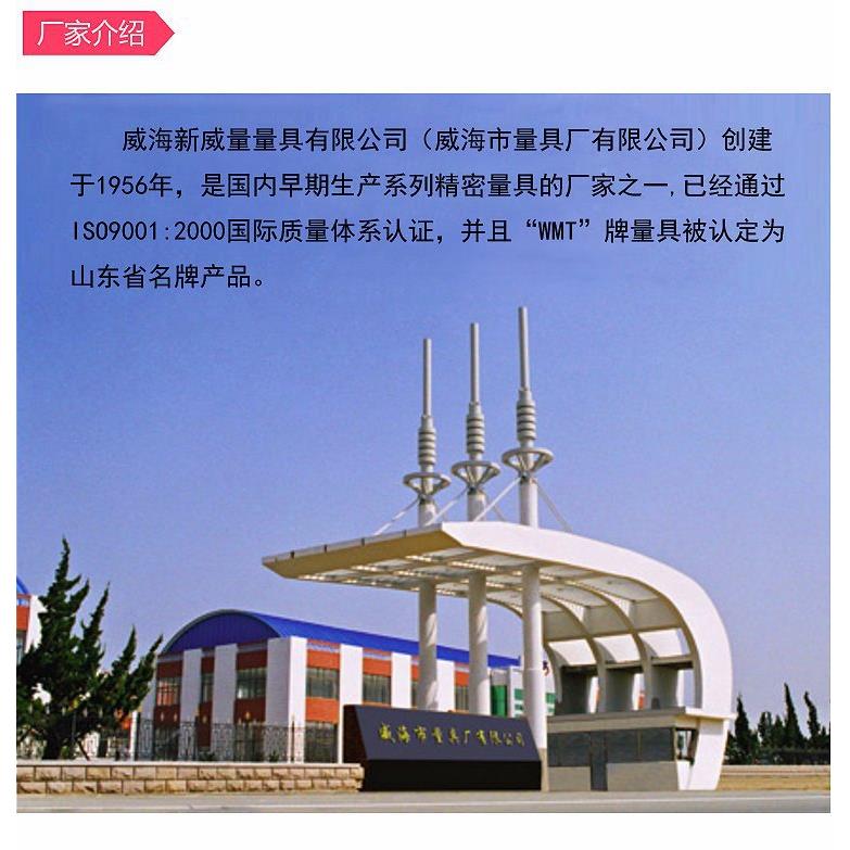 威海新威量百分表指示表千369分表5高精度0.01-3--010杠杆表表头