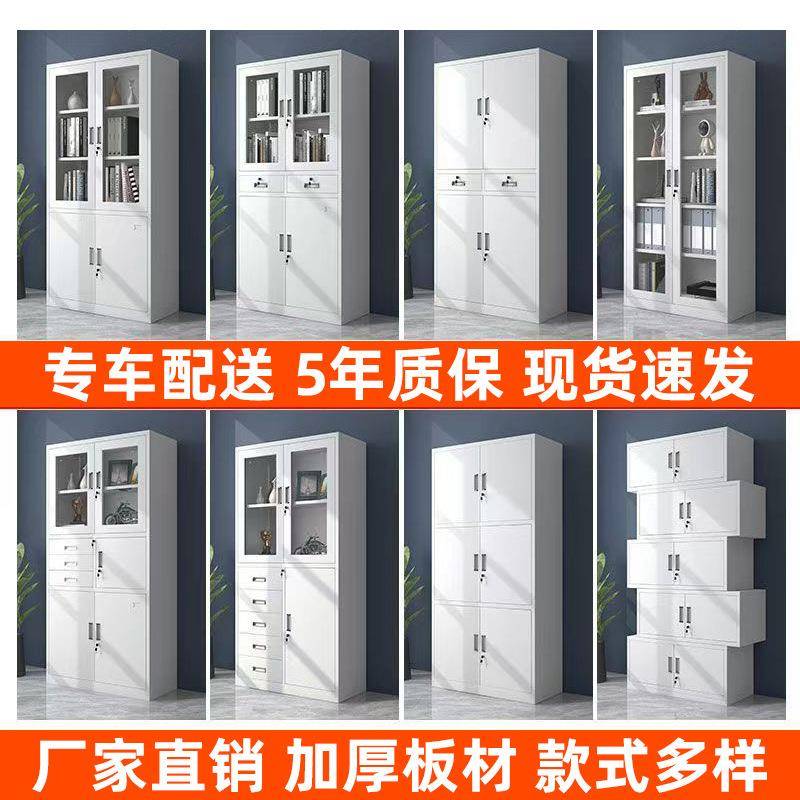 钢制文柜办公文件储物柜办柜资料收衣纳铁皮件柜财务凭公证柜员工