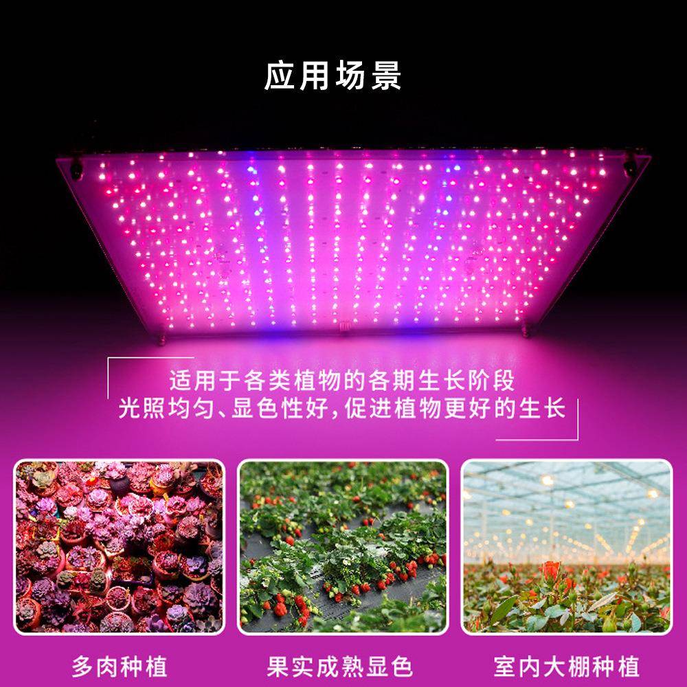 LJD跨境热销led全光生谱物灯100W大功率量子板长灯草莓0多肉补植