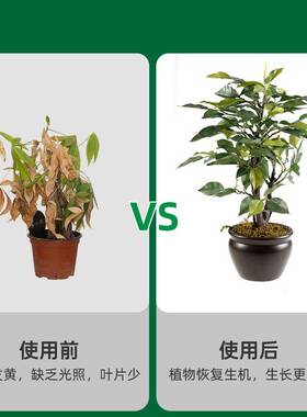 全光谱侧发光led落地定时款植物补光灯绿植物生长灯可调光调色