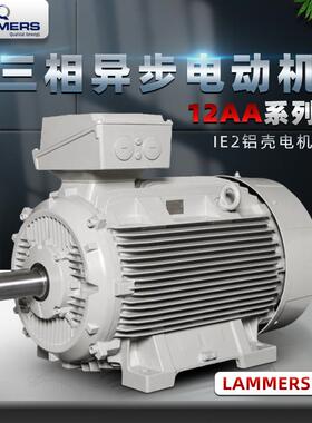 MEZ同款德国LAMMERS电机7AA 12AA 13AA 14BG 1TZ9系列铝壳电动机