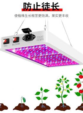 8照明LED植5物灯光全谱ZON23量子板植物生长灯防水大功率育苗灯