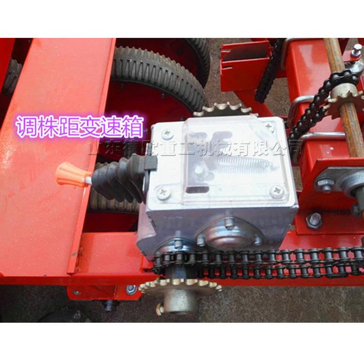 手推式五谷播种机撒汽油式田撒种机械小型NKT农农垄作物间作业种