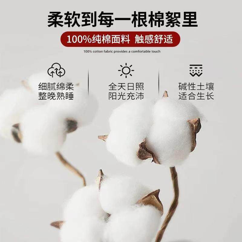 a母婴宝宝全棉级全棉厚皱皱纱纯加棉床单季通用单子被四单枕套类