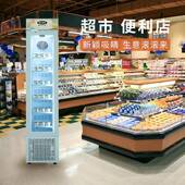 行家低温玻璃门柜蛋糕立式 柜冰商用棒冰冰淇淋商用冷冻605选柜