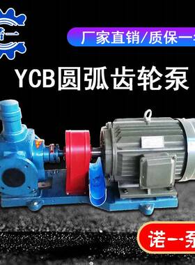 YCB圆弧齿轮泵双圆弧油泵增压喷射燃油电动卧式噪音低无泄漏泵