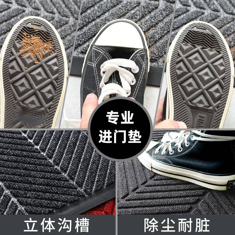 入户门地垫防滑豪宅外耐脏地家用户门垫大门87716105毯进口门脚垫