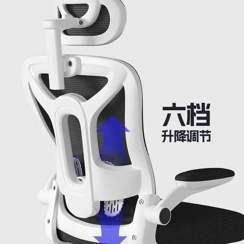 电脑椅久子坐家用公椅学生椅背宿舍电竞椅转椅靠凳升降TXT乳办胶