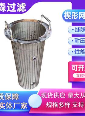楔形网4滤筒固液分机滤网V型离绕丝LSF-2205滤筒30316L锈钢楔形网