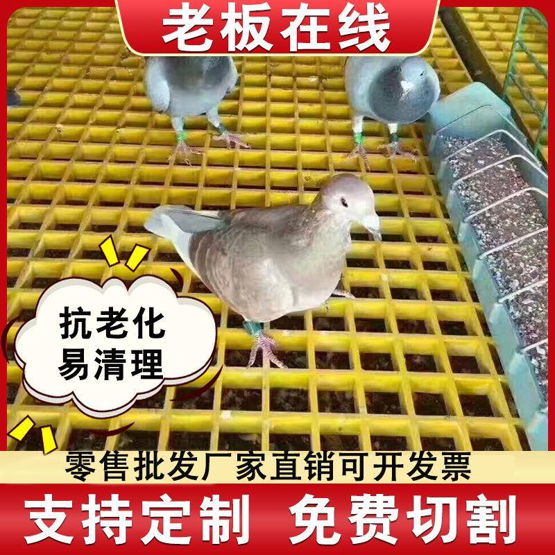 玻璃钢格栅鸽舍地网小孔网格板漏粪养殖排水沟格栅光伏走道板