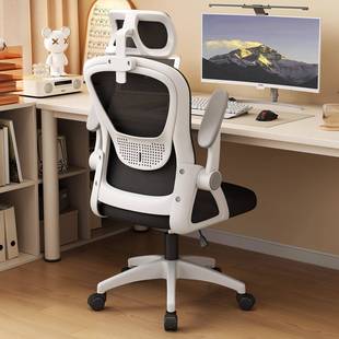 脑椅家用舒椅适电久3698坐办公办公工室学生宿舍学习椅人体学椅子
