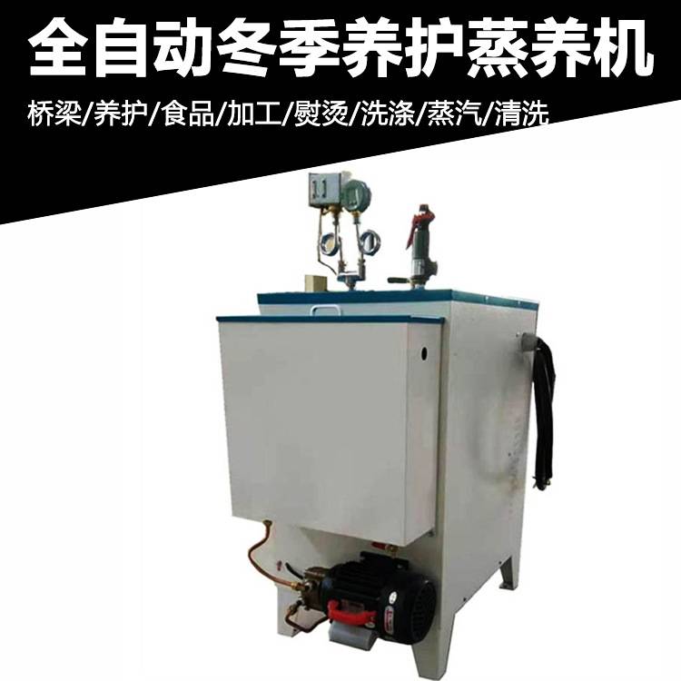 厂家直供蒸汽发生器桥梁养护蒸养机混凝土养护蒸汽机