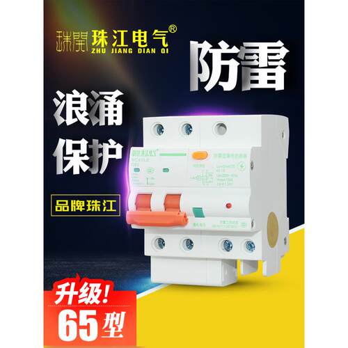珠开珠江防雷漏电保护器浪涌漏电开关断路器家用总开关2P漏电保护