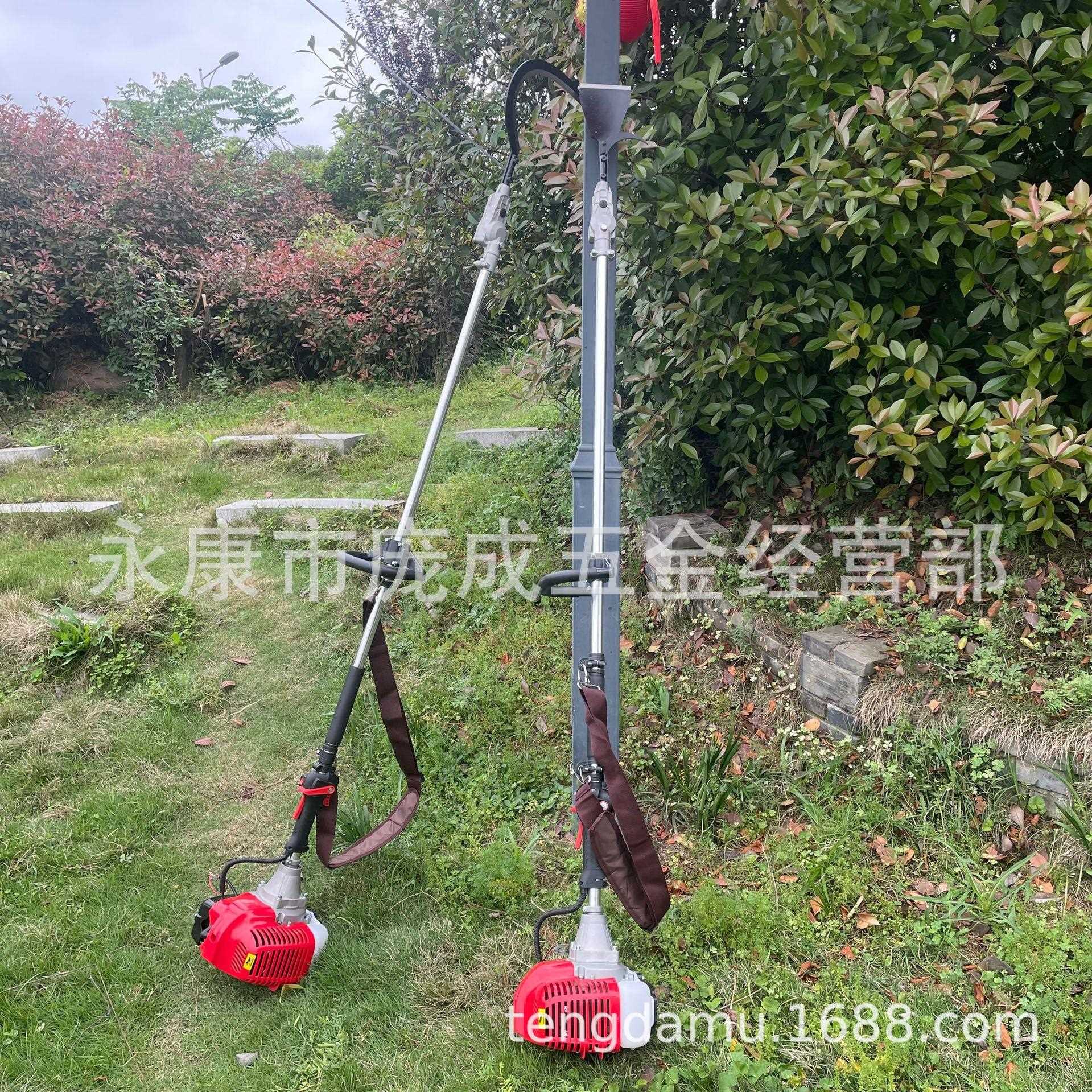 二棕冲收程汽油榈机长柄园林绿化棕榈树修剪机加2888长棕榈杆果获