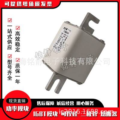 170M5138 170M5139 170M5140 170M5141巴斯曼熔断器 型号齐全