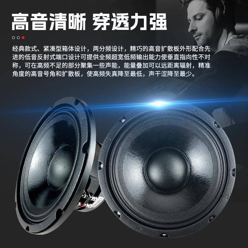 双寸吧10寸线阵音响套装有源线172阵专业音响双户外演出酒吧8清学