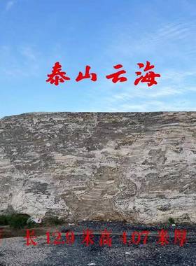 大型泰石山景观石石头天然字雪浪公园刻村标石头22风景自然门牌石